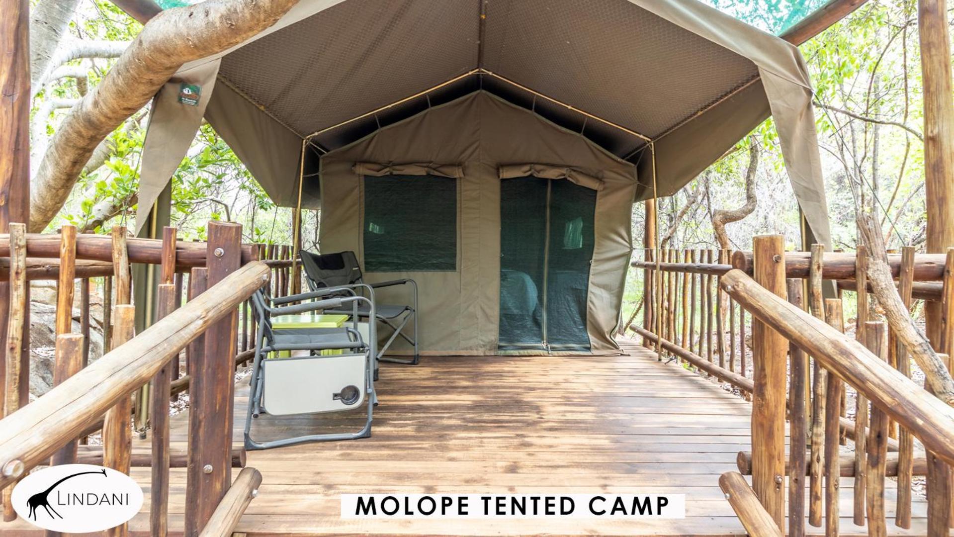Lindani Game And Lodges Vaalwater Exterior foto